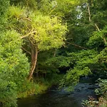 Bodetaler Basecamp - Naturerlebnis 3*