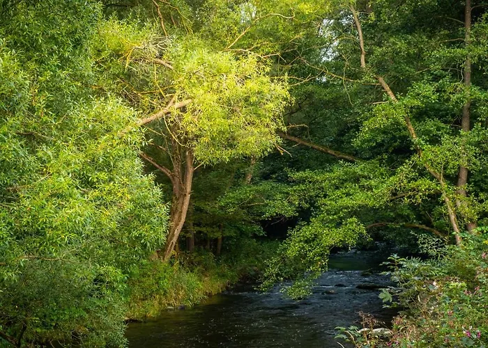 Bodetaler Basecamp - Naturerlebnis 3*