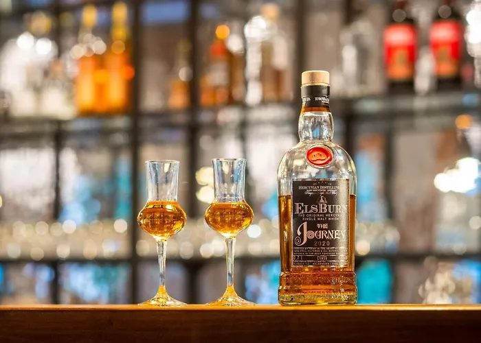 Bodetaler Basecamp - Naturerlebnis