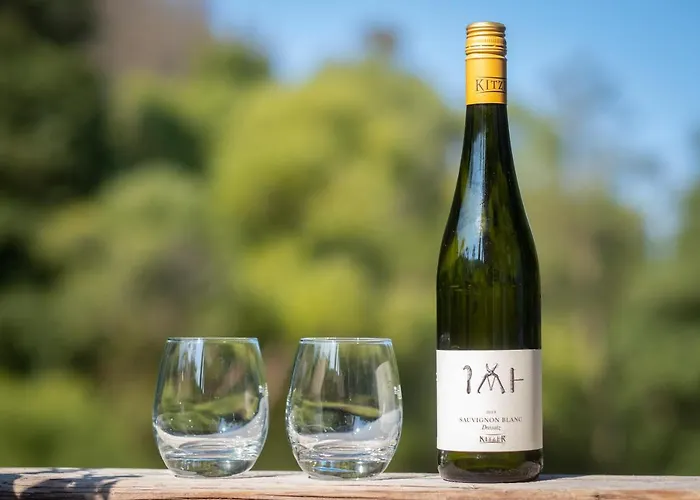 Bodetaler Basecamp - Naturerlebnis